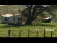 Abandoned Farm House 5 1616